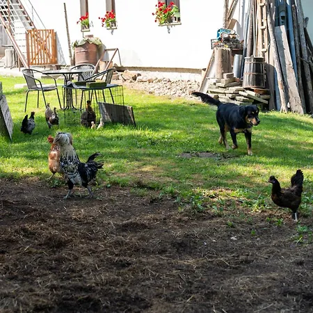 Mojca's Magical Farm Apartamento Bohinj
