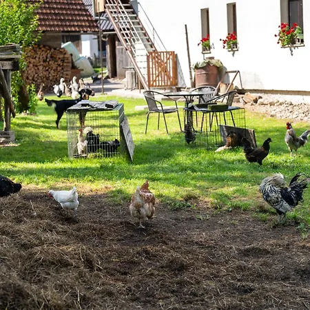 Mojca's Magical Farm *