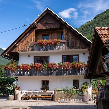 Mojca's Magical Farm *