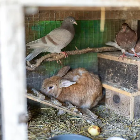 Apartamento Mojca's Magical Farm *