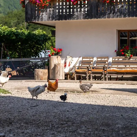 Apartamento Mojca's Magical Farm *