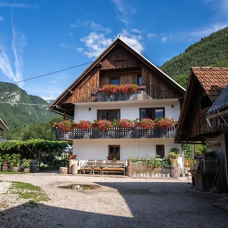 Apartamento Mojca's Magical Farm