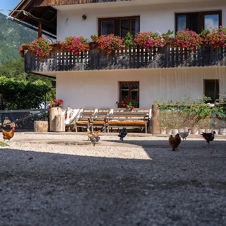 Mojca's Magical Farm Apartamento