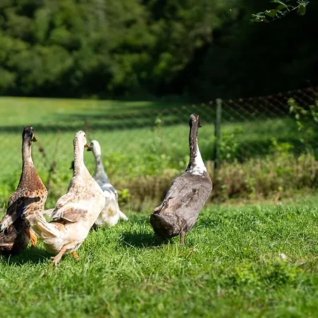 Apartamento Mojca's Magical Farm Bohinj