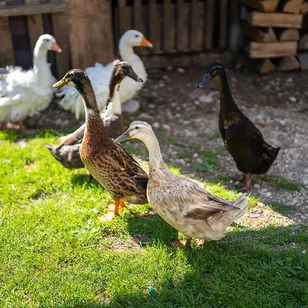 Apartamento Mojca's Magical Farm Bohinj