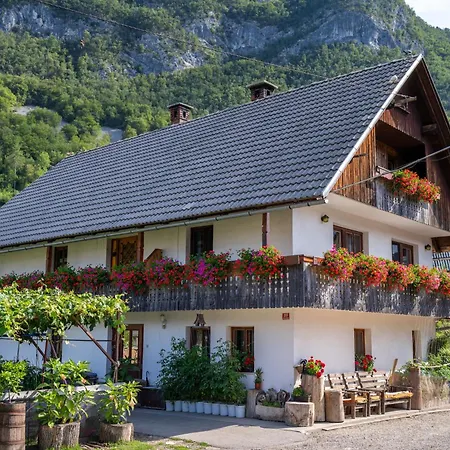 Mojca's Magical Farm Apartamento *
