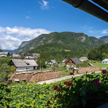 Apartamento Mojca's Magical Farm *