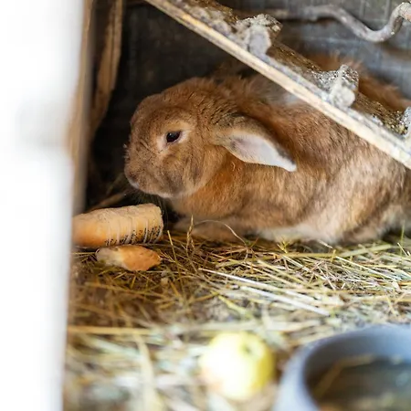 Mojca's Magical Farm Apartamento *
