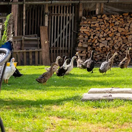 Apartamento Mojca's Magical Farm